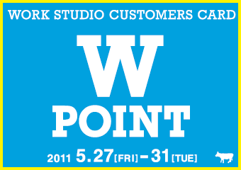 110527point.gif