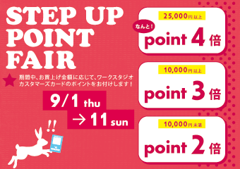 STEP UP POINT FAIR